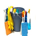 cleaning supplies in and around a bucket